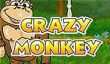 игровые автоматы Crazy Monkey играть