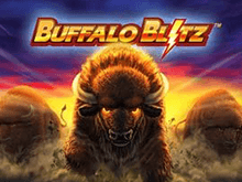 Buffalo Blitz от Playtech – выигрышный слот
