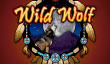 Wild Wolf