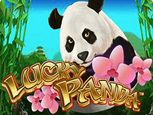 Игровой слот Lucky Panda позволяет сорвать рекордный джекпот в процессе игры