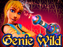 Начинайте играть в виртуальный автомат Genie Wild